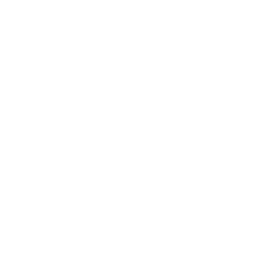 mrspitbraai_anytime