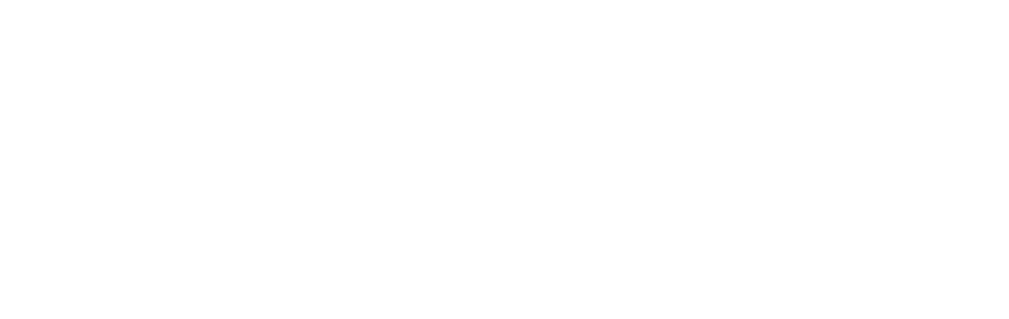 mrspitbraai_banner